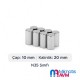 10x20 mm Neodymium Magnet 10x20 mm Neodymium Magnet