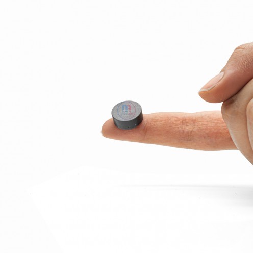 16x6 mm Ferrite Magnet 16x6 mm Ferrite Magnet