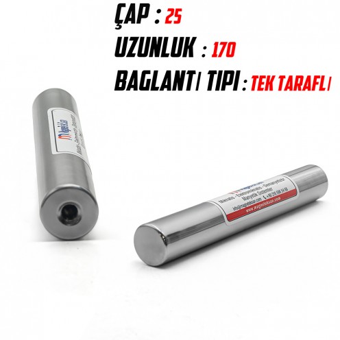 25x170 mm Neodymium Magnetic Rod – TM8S811 Model, High Gauss Magnetic Separator for Industrial Use 25x170 mm Neodymium Magnetic Rod – TM8S811 Model, High Gauss Magnetic Separator for Industrial Use