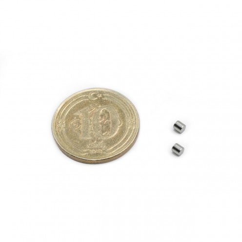 Ø2x2 mm Neodyum Sensör Mıknatısı - (2'li Paket)