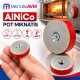 Ø38x11 mm M5 Alnico Pot Mıknatıs - Yüksek Sıcaklıkta Çalışmaya Uygun