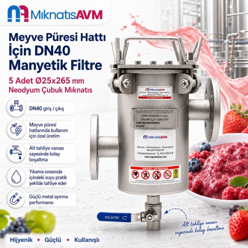 Meyve Püresi Hattı İçin DN40 Giriş Çıkışlı 5 Barlı Neodyum Filtre Mıknatıs